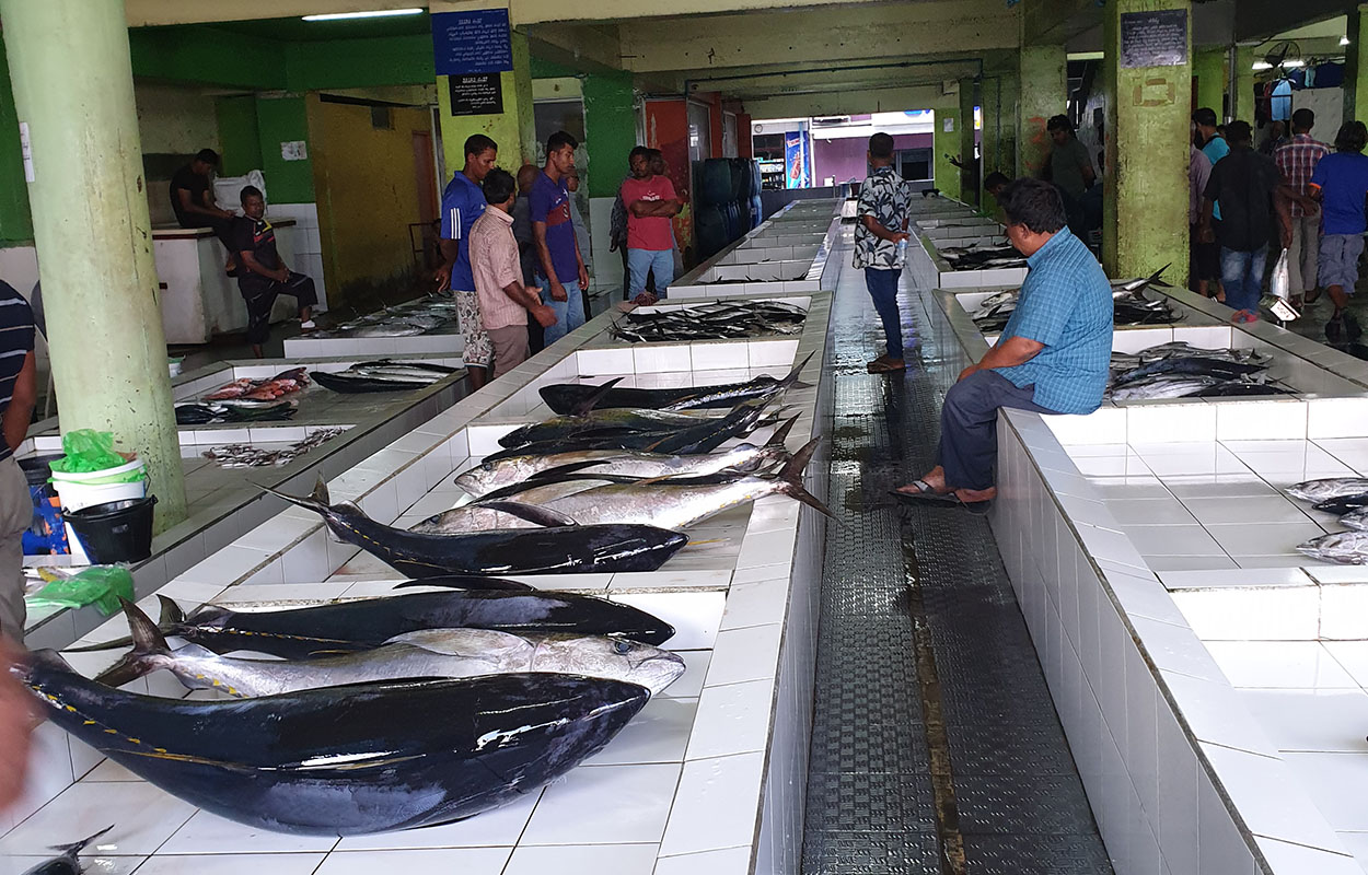Fish Market in Maldives Capital - Male Maldives