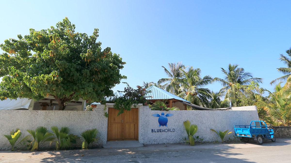 Blue World Dharavandhoo Budget Maldives