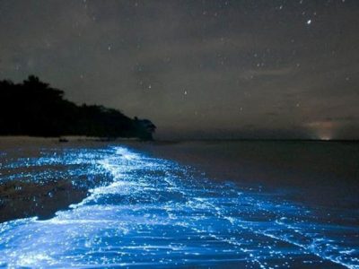 Maldives glowing beach