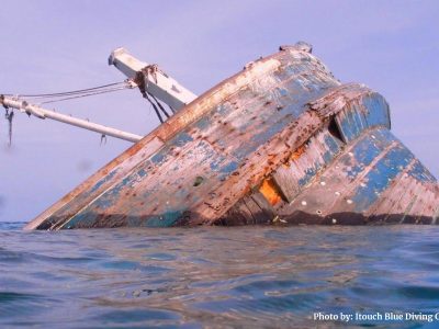 Vaavu Atoll Shipwreck Maldives