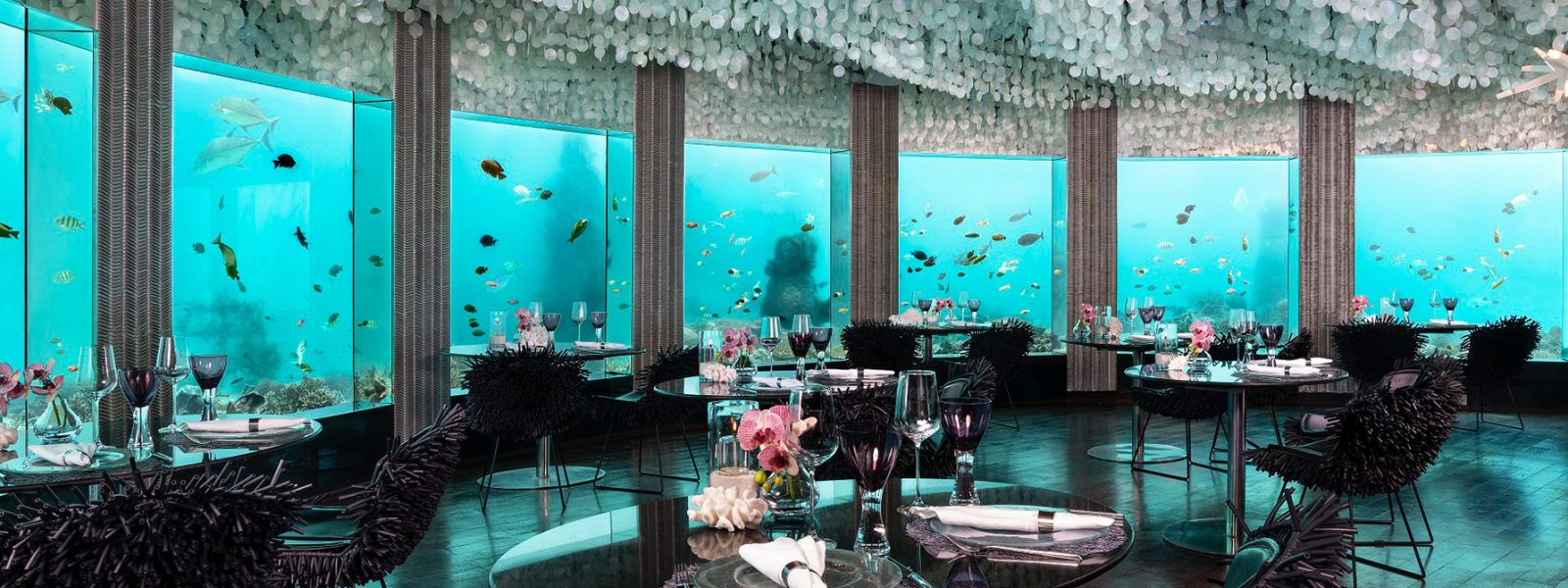 Underwater restaurants in Maldives  - Subsix at Niyama Private Island Underwater restaurants in Maldives