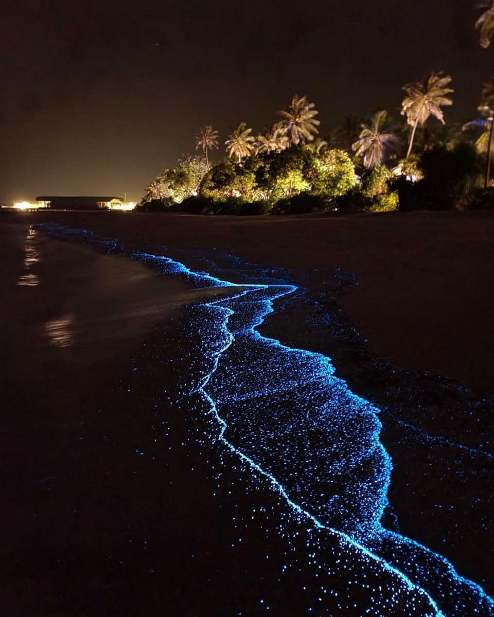 Glowing beach Maldives